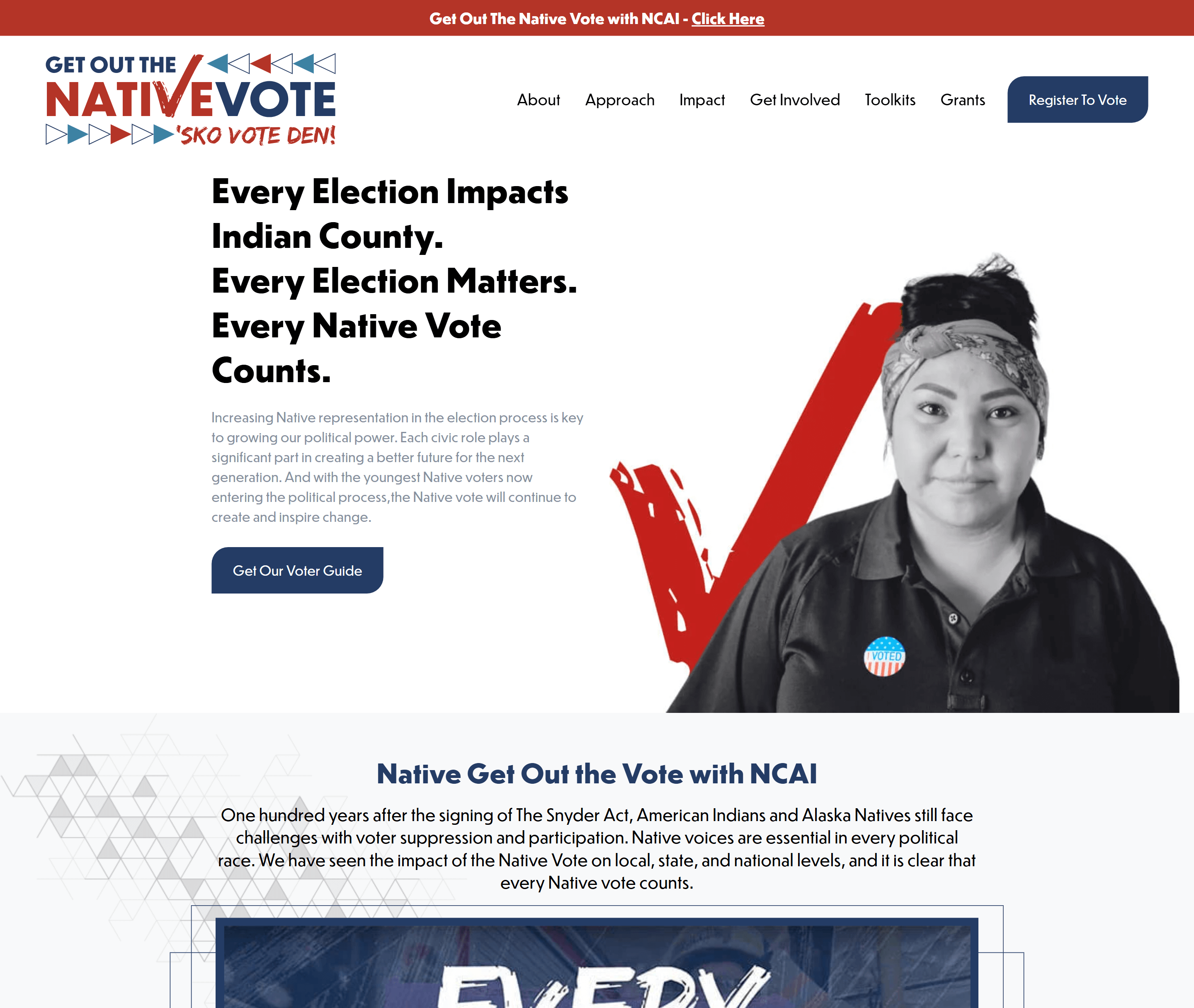 Native Vote website image