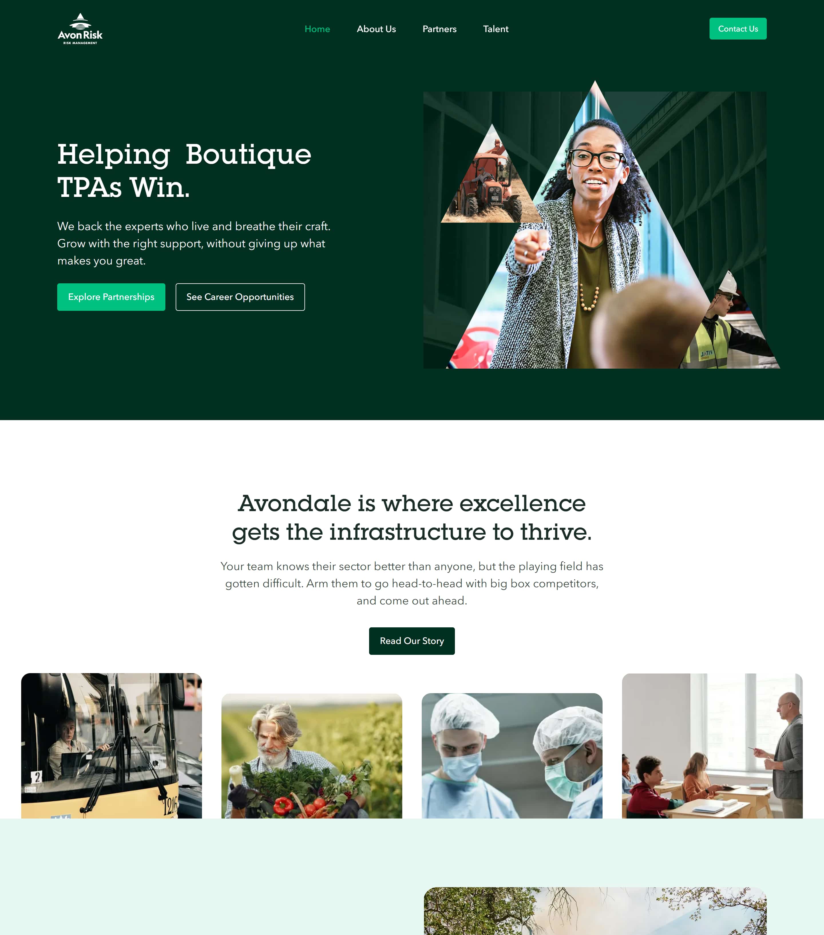 Avon Risk website image