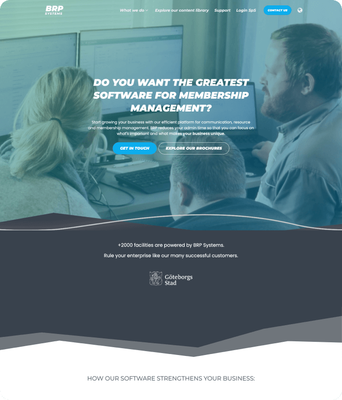 BRP Systems website image