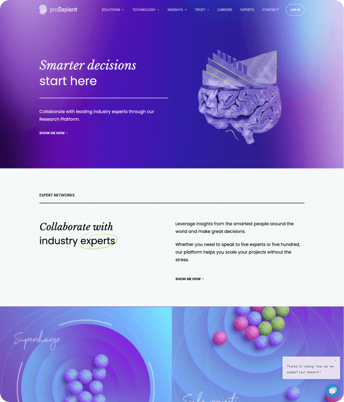 ProSapient website image