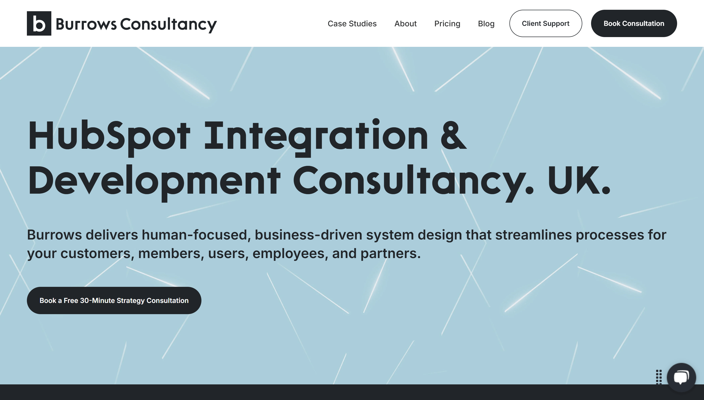 www.burrowsconsultancy.com_
